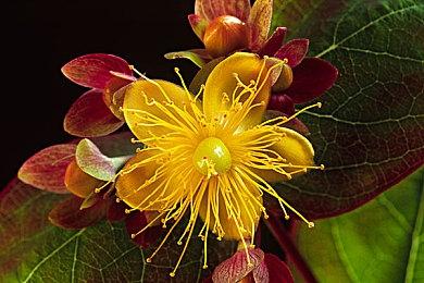 《地狱之刃2》开发者日志展示幕后动捕花絮