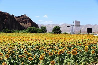 华丽的游戏！《黑神话：悟空》国外媒体评分汇总